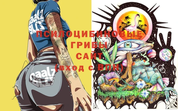 ГАЛЛЮЦИНОГЕННЫЕ ГРИБЫ Лабытнанги