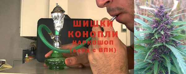 ГАЛЛЮЦИНОГЕННЫЕ ГРИБЫ Лабытнанги