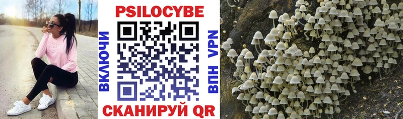 Псилоцибиновые грибы мухоморы  Шимановск 